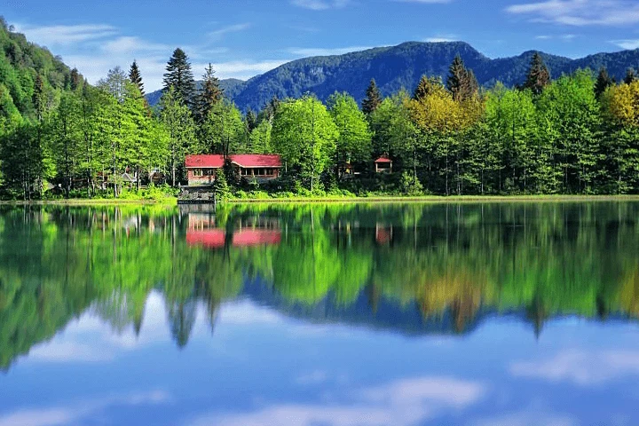 Artvin