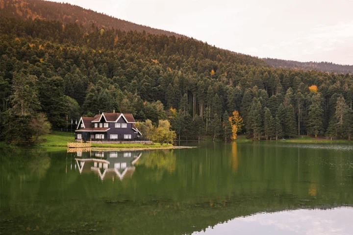 Bolu